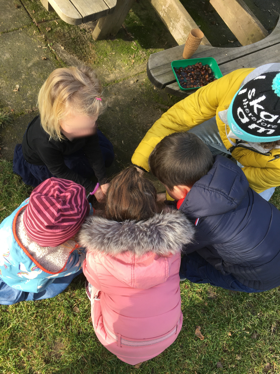 Kastanienplanzen im Kindergarten – Kinderhaus St. Johannes